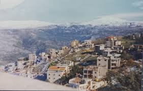 Baalshmay Residents Join Local Initiative to Improve Public Spaces